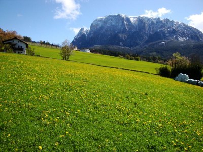 Farmhouse Platzerhof - Outdoor photo 8
