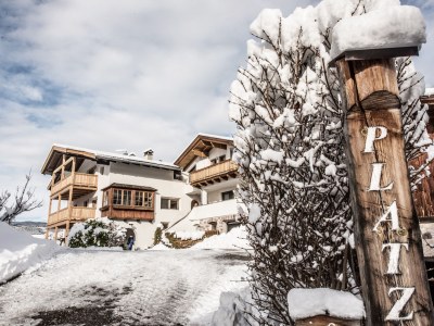 Farmhouse Platzerhof - Outdoor photo 11