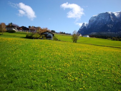 Farmhouse Platzerhof - Environment photo 22