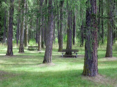 Apartment Apartment in Austria with Mountain Views - Environment photo 16