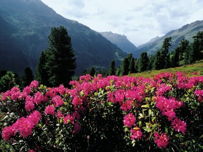 Apartment Wohnung in Längenfeld nahe Sölden Ski - Environment photo 17
