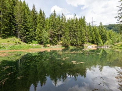 Apartment Wohnung in Strengen nahe Skibus - Environment photo 26