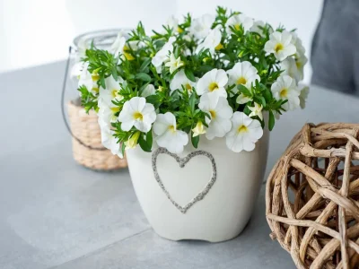 Apartment Wohnung in Strengen nahe Skibus - Outdoor photo 36