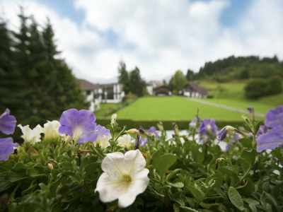 Apartment Apartment in Hinterbichl near Ski Bus - Outdoor photo 8