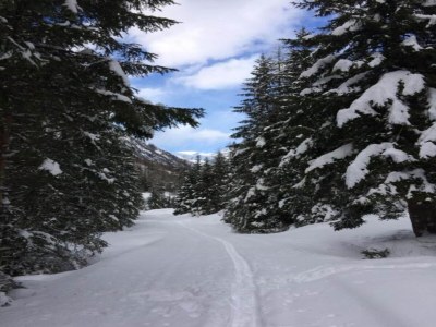 Apartment Apartment in Hinterbichl near Ski Bus - Environment photo 24