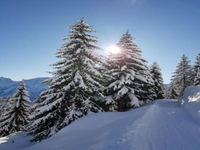 Apartment Apartment in Hinterbichl near Ski Bus - Environment photo 34