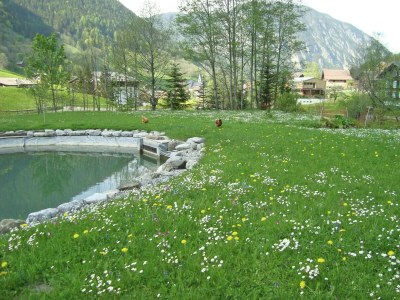 Chalet Chalet in Brand near Ski Lift & Slopes - Environment photo 21