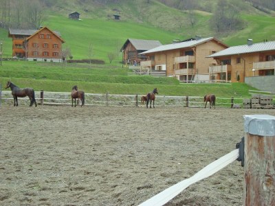 Chalet Chalet in Brand near Ski Lift & Slopes - Environment photo 22