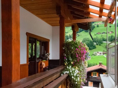 Apartment Wohnung in Silbertal nahe Skilift - Outdoor photo 6