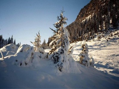 Apartment Wohnung in St. Gallenkirch beim Skigebiet - Environment photo 37