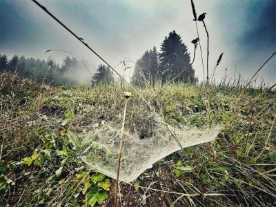 Apartment Wohnung in St. Gallenkirch beim Skigebiet - Environment photo 39