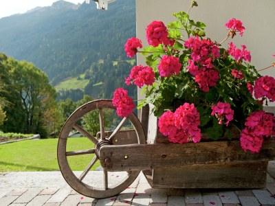 Apartment Wohnung in St. Gallenkirch beim Skigebiet - Outdoor photo 42