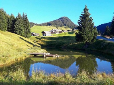 Apartment Chalet in St. Gallenkirch bei Skipisten - Environment photo 21