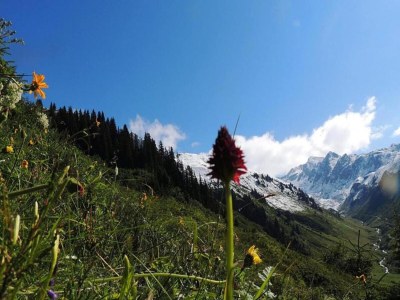 Apartment Chalet in St. Gallenkirch bei Skipisten - Environment photo 22
