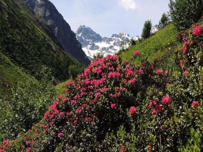 Apartment Chalet in St. Gallenkirch bei Skipisten - Environment photo 27