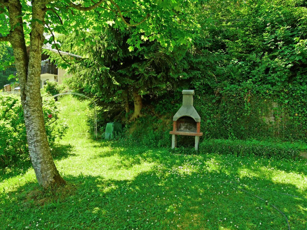 Holiday house Chalet in Vorarlberg near Ski Slopes - Outdoor photo 3