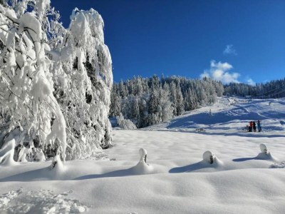 Holiday house Chalet in Vorarlberg near Ski Slopes - Environment photo 33