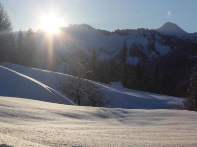 Holiday house Chalet in Vorarlberg near Ski Slopes - Environment photo 35