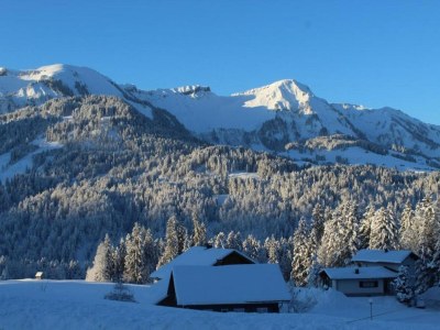 Holiday house Chalet in Vorarlberg near Ski Slopes - Environment photo 36