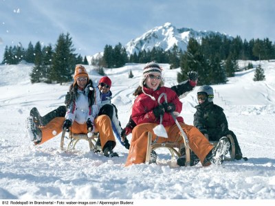 Holiday house Chalet in Vorarlberg near Ski Slopes - Environment photo 38