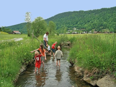 Chalet Chalet in Sibratsgfäll near Ski Slopes - Environment photo 16