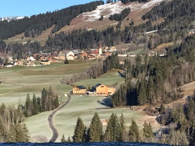 Chalet Chalet in Sibratsgfäll near Ski Slopes - Environment photo 17