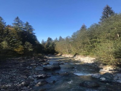 Chalet Chalet in Sibratsgfäll near Ski Slopes - Environment photo 29