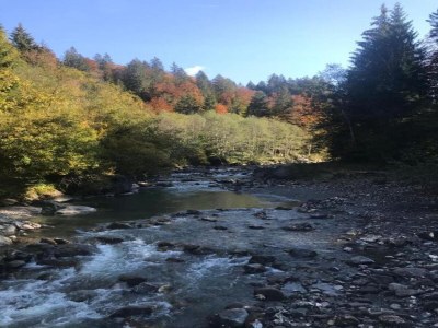 Chalet Chalet in Sibratsgfäll near Ski Slopes - Environment photo 34