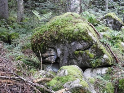 Chalet Chalet in Sibratsgfäll near Ski Slopes - Environment photo 37