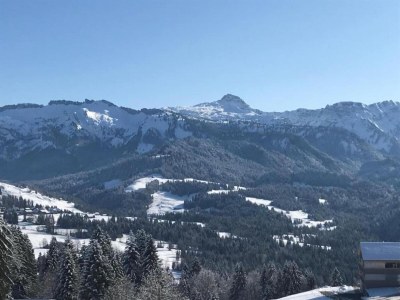 Chalet Chalet in Sibratsgfäll near Ski Slopes - Environment photo 39