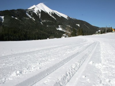 Chalet Chalet in Hohentauern nahe Skigebiet - Environment photo 28