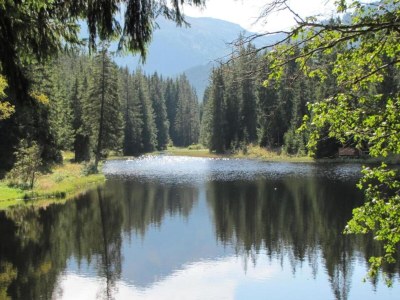 Chalet Chalet in Hohentauern near Ski Lift - Environment photo 30