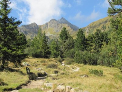 Chalet Chalet in Hohentauern near Ski Lift - Environment photo 37