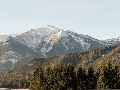 Holiday house Holiday Home in Scheifling near Ski Slopes - Environment photo 21