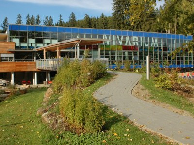 Holiday house Holiday Home in Scheifling near Ski Slopes - Environment photo 36