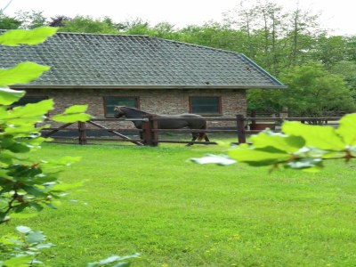 Holiday house Apartment in Heiloo nahe Strand für 2 Von Belvilla - Environment photo 21