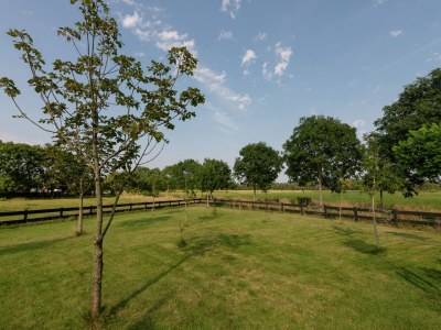 Holiday house Holiday Home near Lutjestrand Beach - Outdoor photo 7