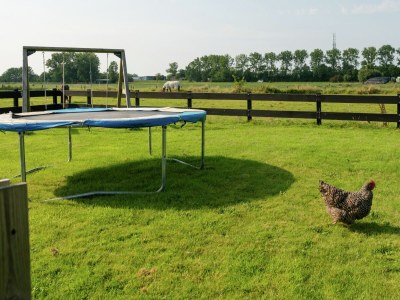 Holiday house Holiday Home near Lutjestrand Beach - Outdoor photo 9