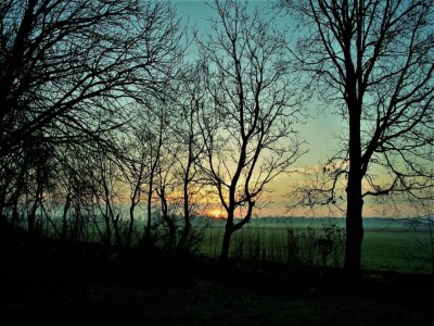 Holiday house Holiday Home near Lutjestrand Beach - Environment photo 34