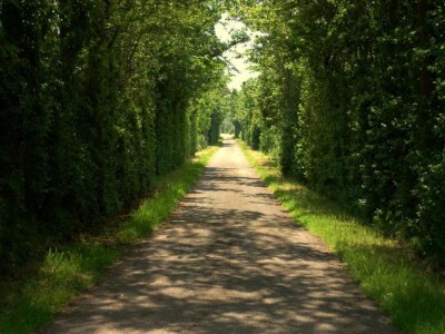 Holiday house Holiday Home near Lutjestrand Beach - Environment photo 37