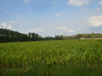 Holiday house Landgut Swolgen mit Sauna - Environment photo 33
