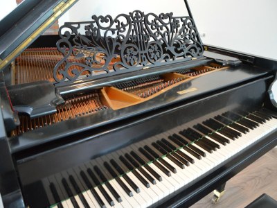 Holiday house Landgut Swolgen mit Sauna - Outdoor photo 37