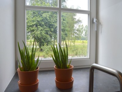 Holiday house Landgut Swolgen mit Sauna - Outdoor photo 38