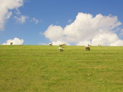 Villa Villa in Friesland near Wadden Coast - Environment photo 28