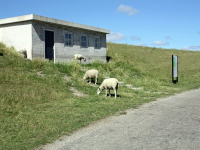 Villa Detached villa on the Zeedijk with view - Environment photo 26