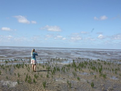 Villa Detached villa on the Zeedijk with view - Environment photo 27