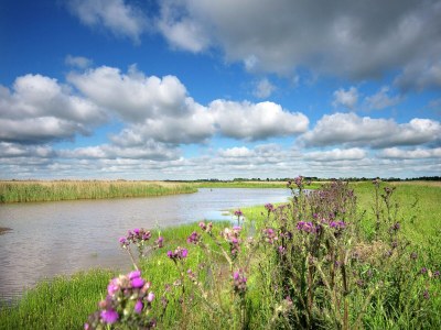 Villa Detached villa on the Zeedijk with view - Environment photo 30