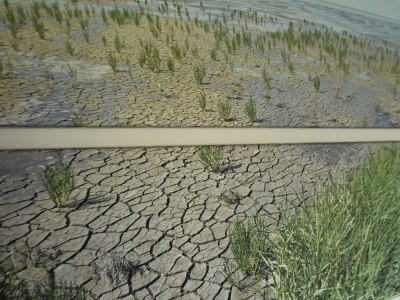 Villa Detached villa on the Zeedijk with view - Outdoor photo 39