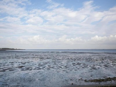 Holiday house Terrassenwohnung in Kattendijke - Environment photo 26