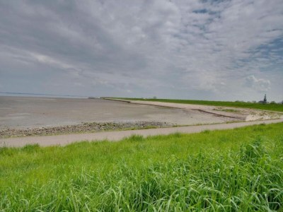 Holiday house Terrassenwohnung in Kattendijke - Environment photo 32